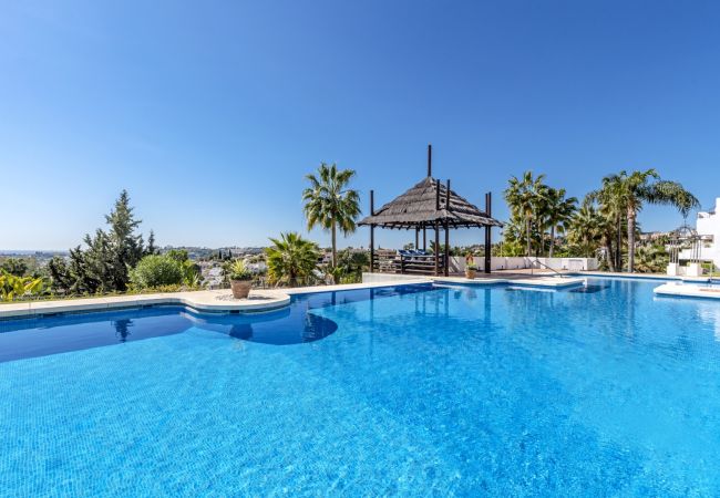 Appartement à Nueva andalucia - RA23795 Las Tortugas de Aloha Appartement à Nueva andalucia - RA23795 Las Tortugas de Aloha